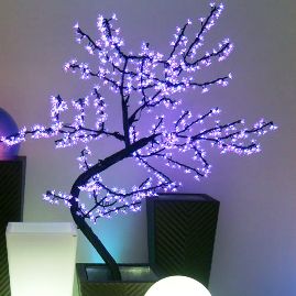Arbore LED