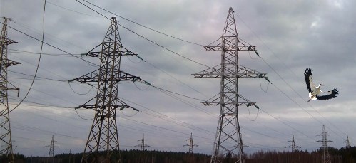 Overhead Power Lines