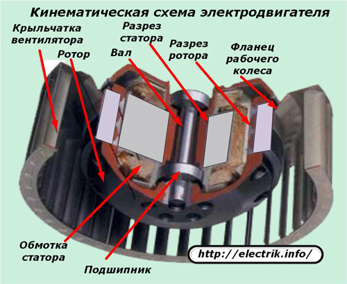 Kinematic diagram of an electric motor