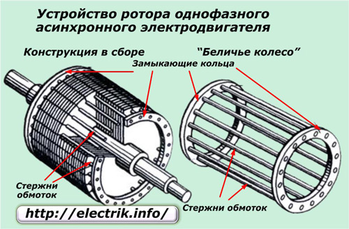 The rotor device of an induction motor