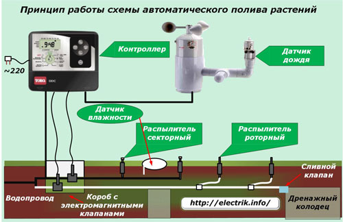 Принципът на автоматичната система за поливане на растенията