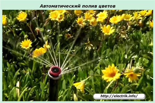 Automatisk vattning av blommor