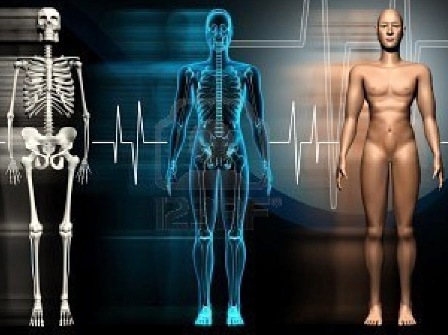 Resistência do corpo humano - do que depende e como pode mudar