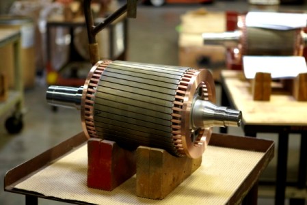 Ekornburets rotor från en induktionsmotor