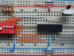 About microcontrollers for beginners