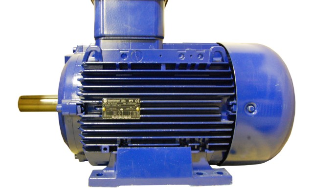 Indukcijski motor s kavezom vjeverica