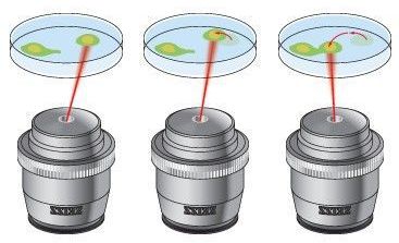 Optische Pinzette auf Laserbasis